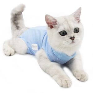 Cat Surgical Recovery Suit – Breathable Post-Operative Wear | Custom Logo OEM/ODM