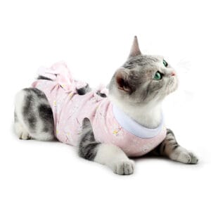 Cat Surgical Recovery Suit – Breathable Post-Operative Wear | Custom Logo OEM/ODM