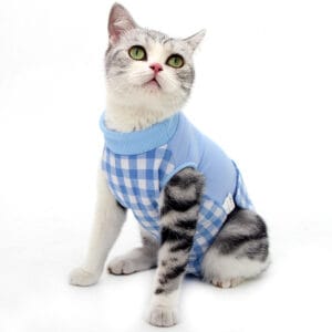 Cat Surgical Recovery Suit – Breathable Post-Operative Wear | Custom Logo OEM/ODM