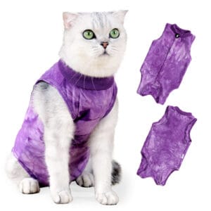 Cat Surgical Recovery Suit – Breathable Post-Operative Wear | Custom Logo OEM/ODM