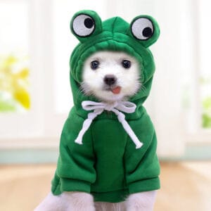 Wholesale Pet Apparel – Customizable Dog & Cat Clothes | OEM/ODM Factory Supply