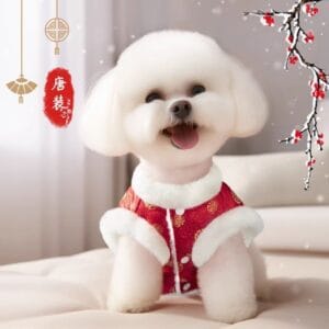 Wholesale Pet Apparel – Customizable Dog & Cat Clothes | OEM/ODM Factory Supply
