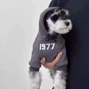 Wholesale Pet Apparel – Customizable Dog & Cat Clothes | OEM/ODM Factory Supply