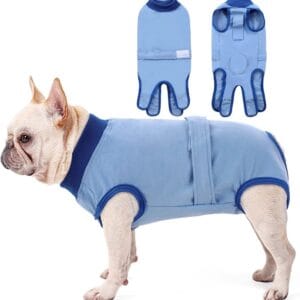 Dog Post-Surgery Recovery Suit – Breathable Summer Wear | Custom Logo Available