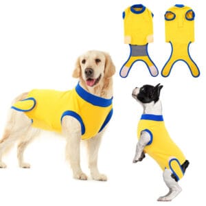 Post-Surgery Dog Recovery Suit – Breathable, Comfortable, and Versatile