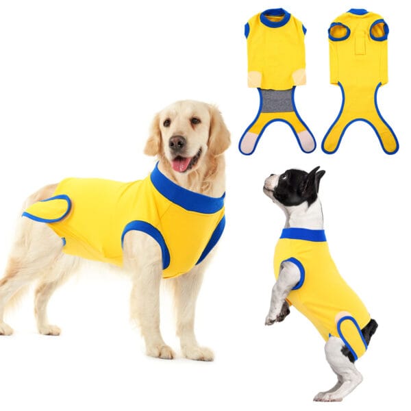 Post-Surgery Dog Recovery Suit – Breathable, Comfortable, and Versatile