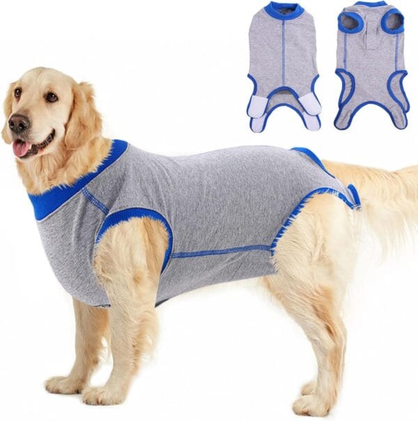 Large Dog Post-Surgery Recovery Suit – Elastic Surgical Suit for Dogs  | OEM/ODM Available