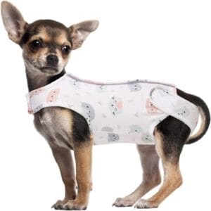 Dog Post-Surgery Recovery Suit – Breathable Summer Wear | Custom Logo Available