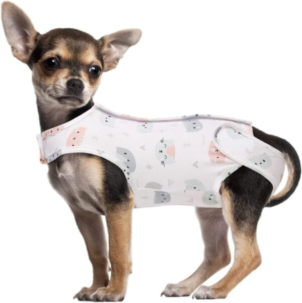 Dog Post-Surgery Recovery Suit – Breathable Summer Wear | Custom Logo Available