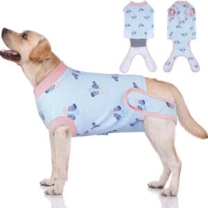 Dog Post-Surgery Recovery Suit – Breathable Summer Wear | Custom Logo Available
