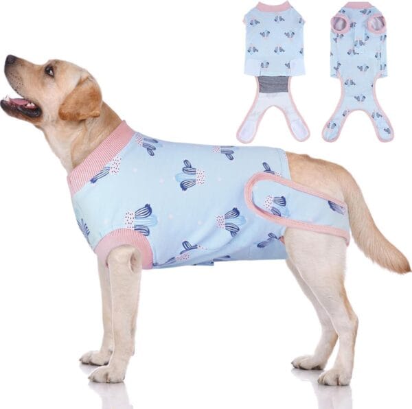 Dog Post-Surgery Recovery Suit – Breathable Summer Wear | Custom Logo Available