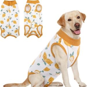 Dog Post-Surgery Recovery Suit – Breathable Summer Wear | Custom Logo Available