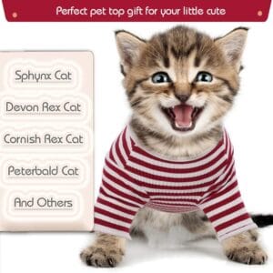Cat Surgical Recovery Suit – Breathable Post-Operative Wear | Custom Logo OEM/ODM