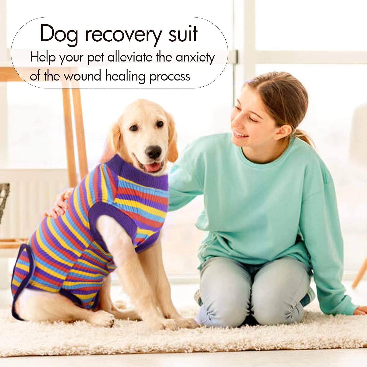 dog recovery suit