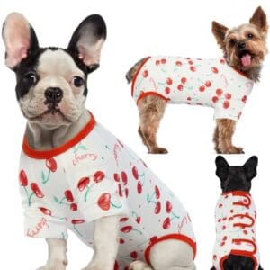 Dog Post-Surgery Recovery Suit – Breathable Summer Wear | Custom Logo Available