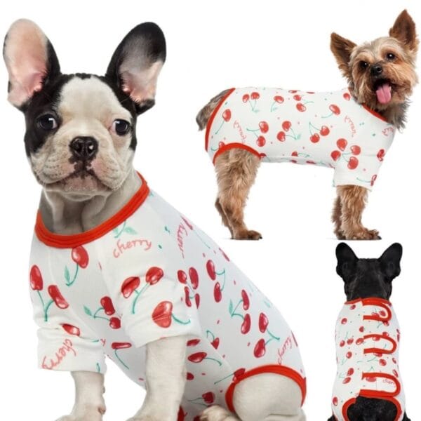 Dog Post-Surgery Recovery Suit – Breathable Summer Wear | Custom Logo Available